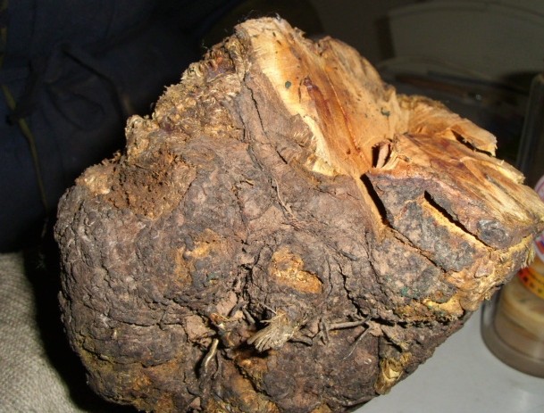 16269416478580 16269416478580