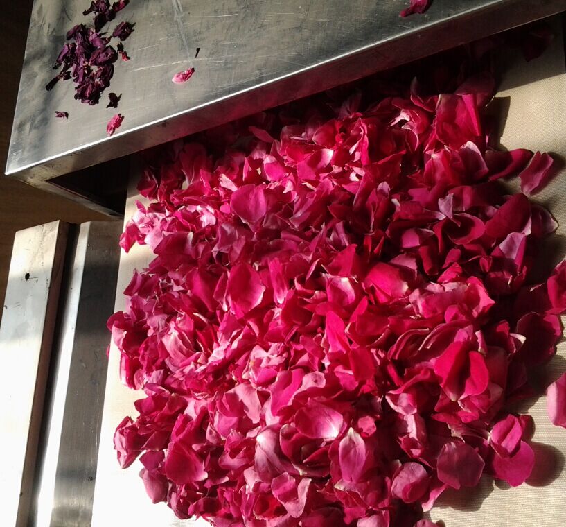 58bd57a4626eb 58bd57a4626eb