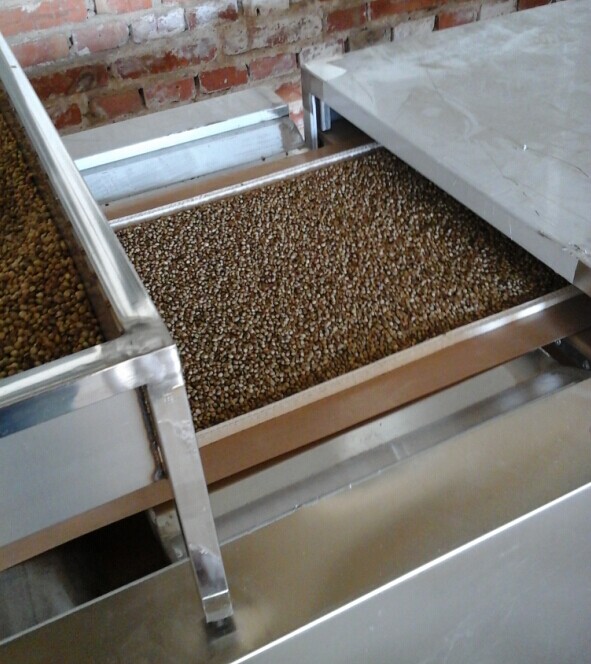 16189745203269 16189745203269