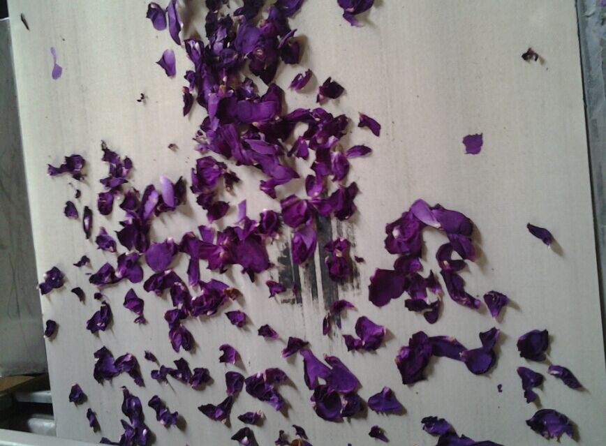 1488803742498 1488803742498